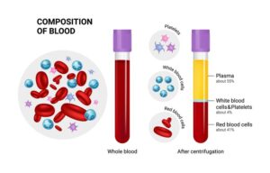 What is PLATELET RICH PLASMA (PRP)? | Rise Health